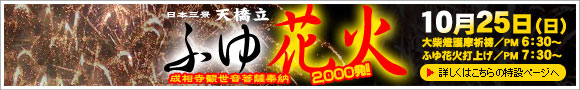 �ӂ�ԉ�2009